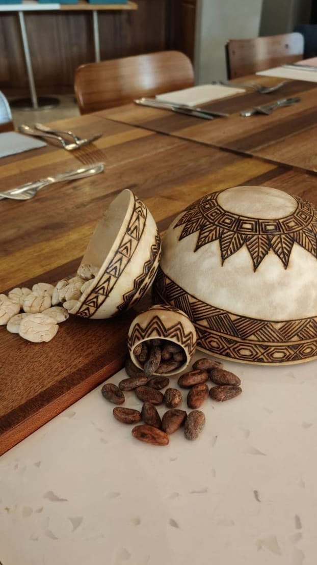 beans cacao macambo