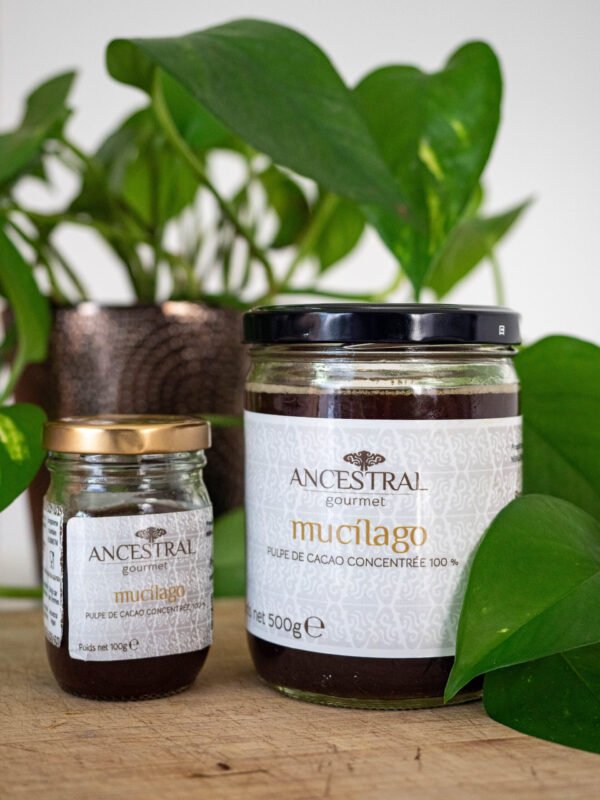 Concentré de Mucilage de Cacao
