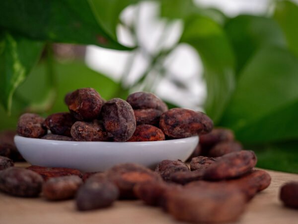 Fèves de Cacao "Fino de Aroma" torréfiées
