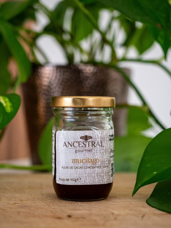 Concentré de Mucilage de Cacao