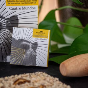 Tablette de chocolat "Cuatro mundos"
