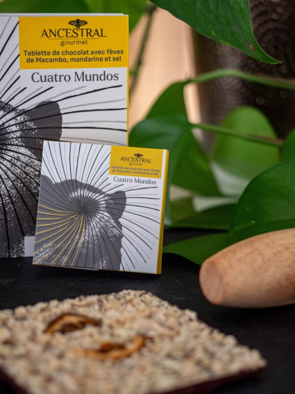 Tablette de chocolat "Cuatro mundos"