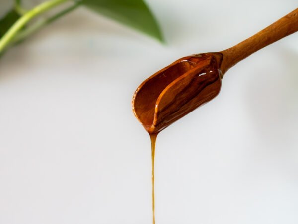 Concentré de Mucilage de Cacao